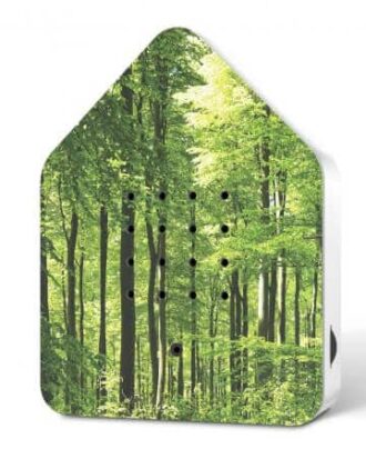 Zwitscherbox Forest