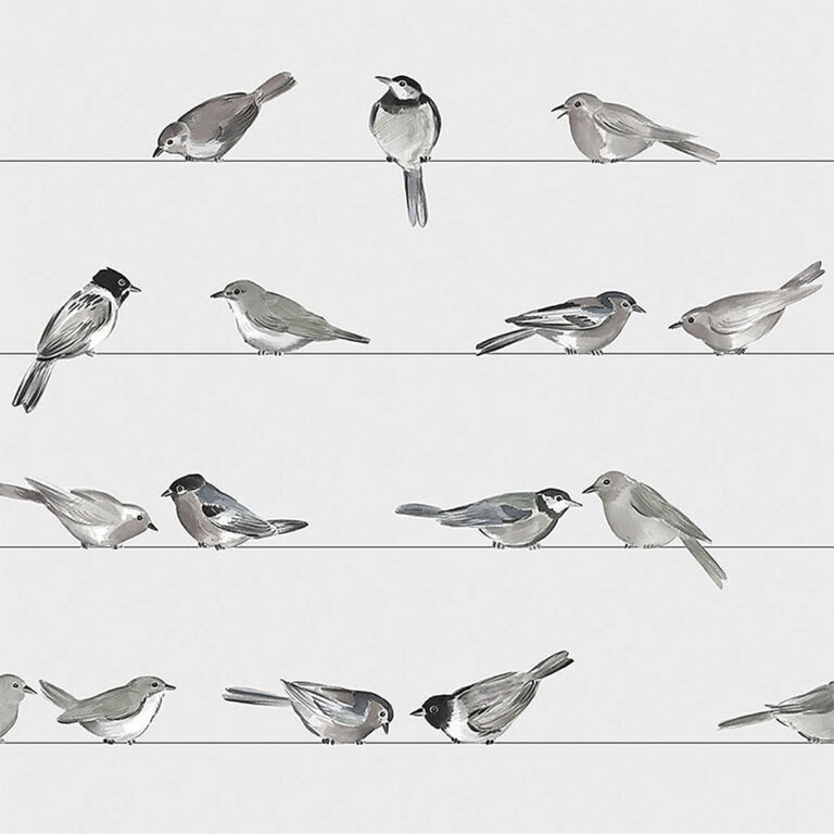 Servet Birds