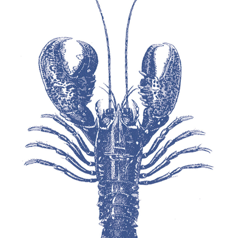 Servet Lobster Marine