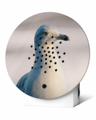 Oaceanbox Vogel