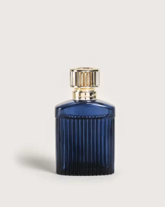 Lampe berger alpha blue