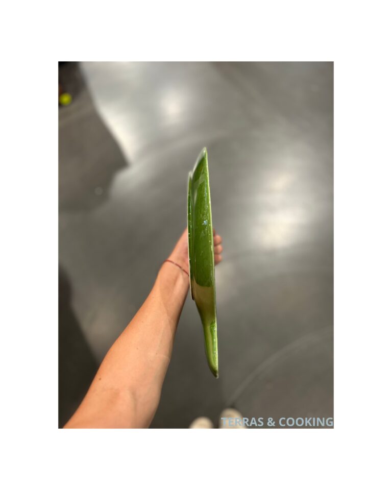 Duro Vis serveerschaal mini Groen - Afbeelding 3