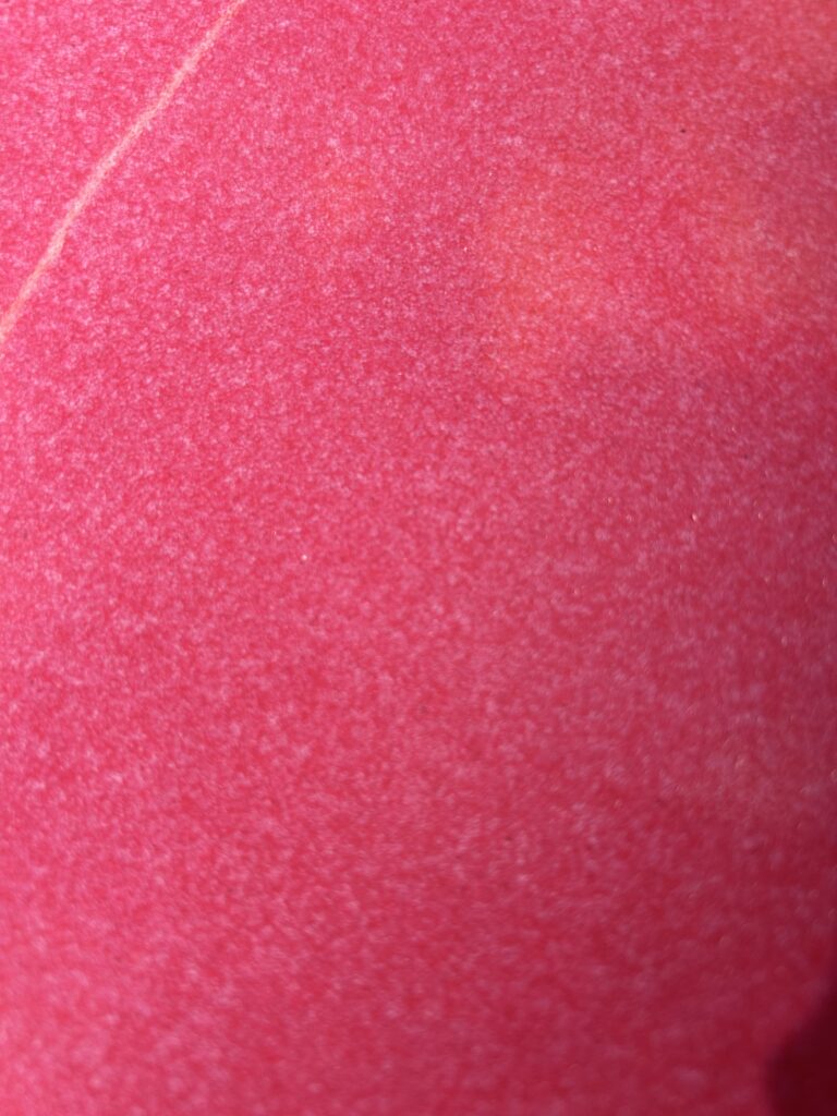Saladeschaal uit Portugal 40⌀ Rood - Afbeelding 2