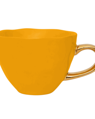 UNC tea cup daylily
